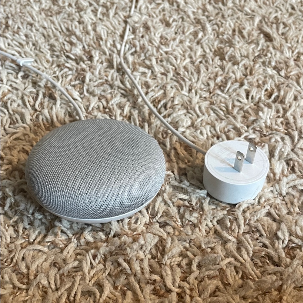 Google Home Mini